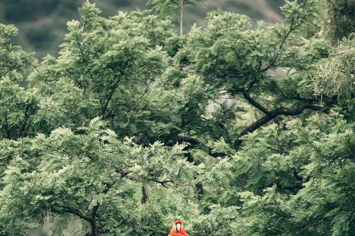 Ochrona tajemnic firmy